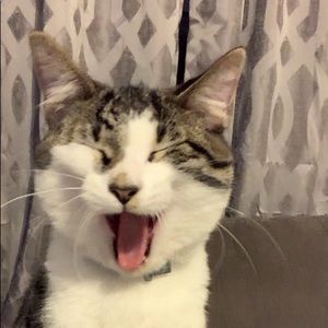 Meet your Posher, Lauryn